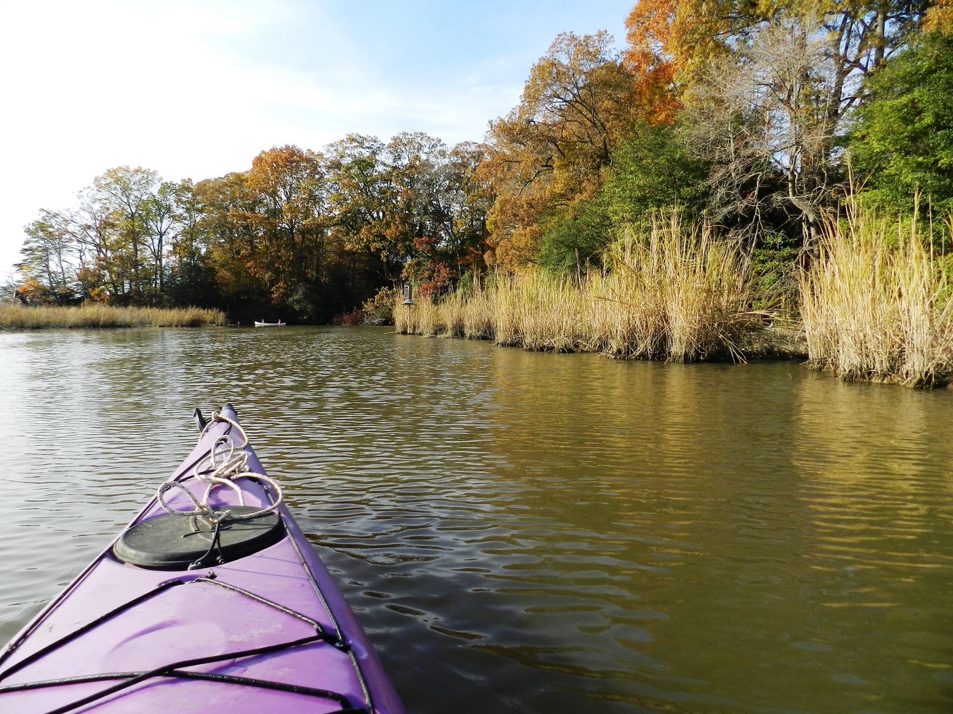 Bow of a purple kayak in the Patuxent River